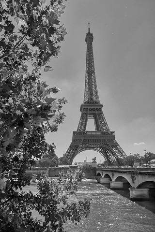 Paris    |   5  /  26   | 